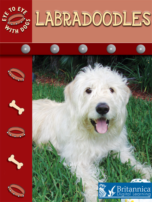 Title details for Labradoodles by Lynn M. Stone - Available